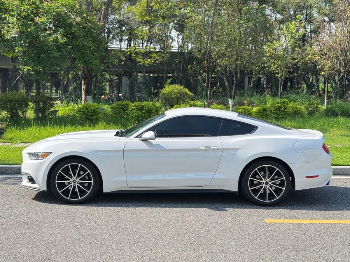 福特 Mustang  2016款 2.3T 性能版圖片