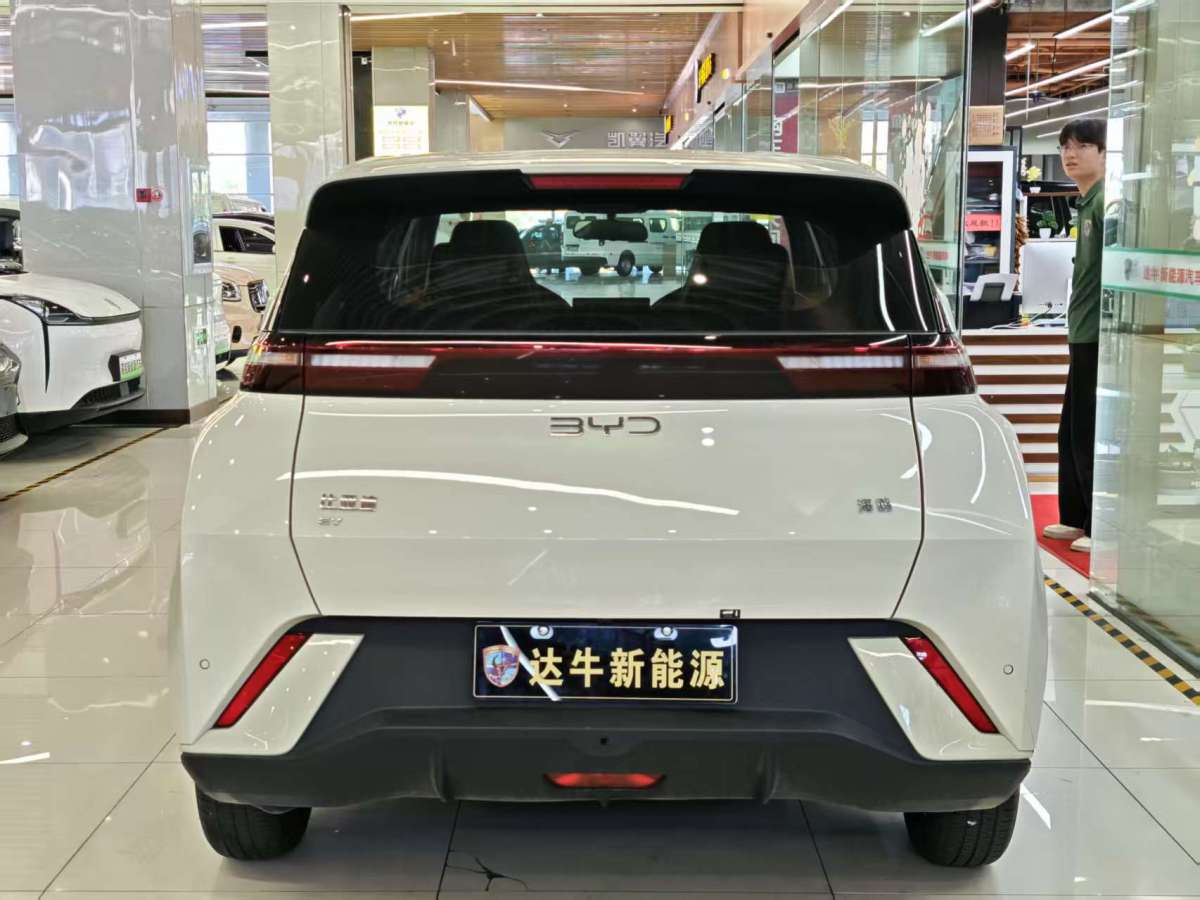比亞迪 海鷗  2025款 305km 活力版圖片
