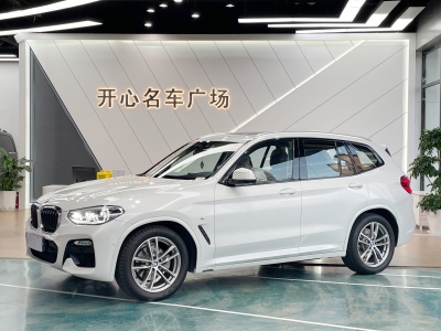 2019年1月 寶馬 寶馬X3 xDrive30i 領(lǐng)先型 M運(yùn)動套裝 國V圖片