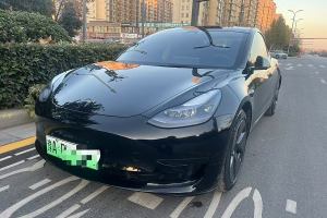 Model Y 特斯拉 改款 后輪驅(qū)動版