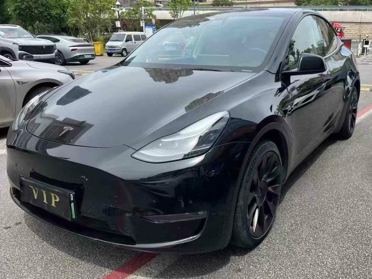 特斯拉 Model 3  2021款 標(biāo)準(zhǔn)續(xù)航后驅(qū)版圖片