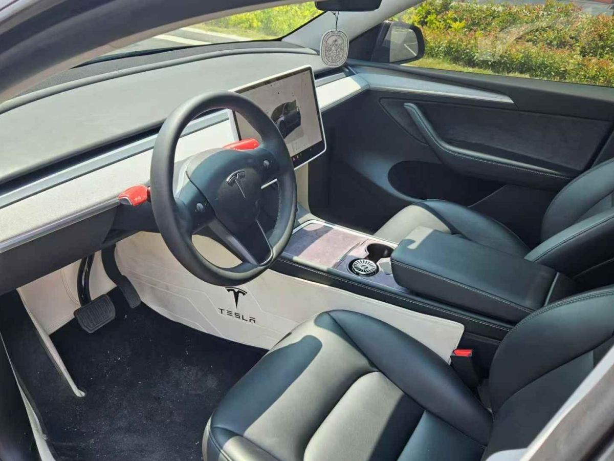 特斯拉 Model Y  2024款 Performance高性能版圖片