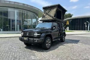 坦克300 坦克 2.0T 坦克游俠
