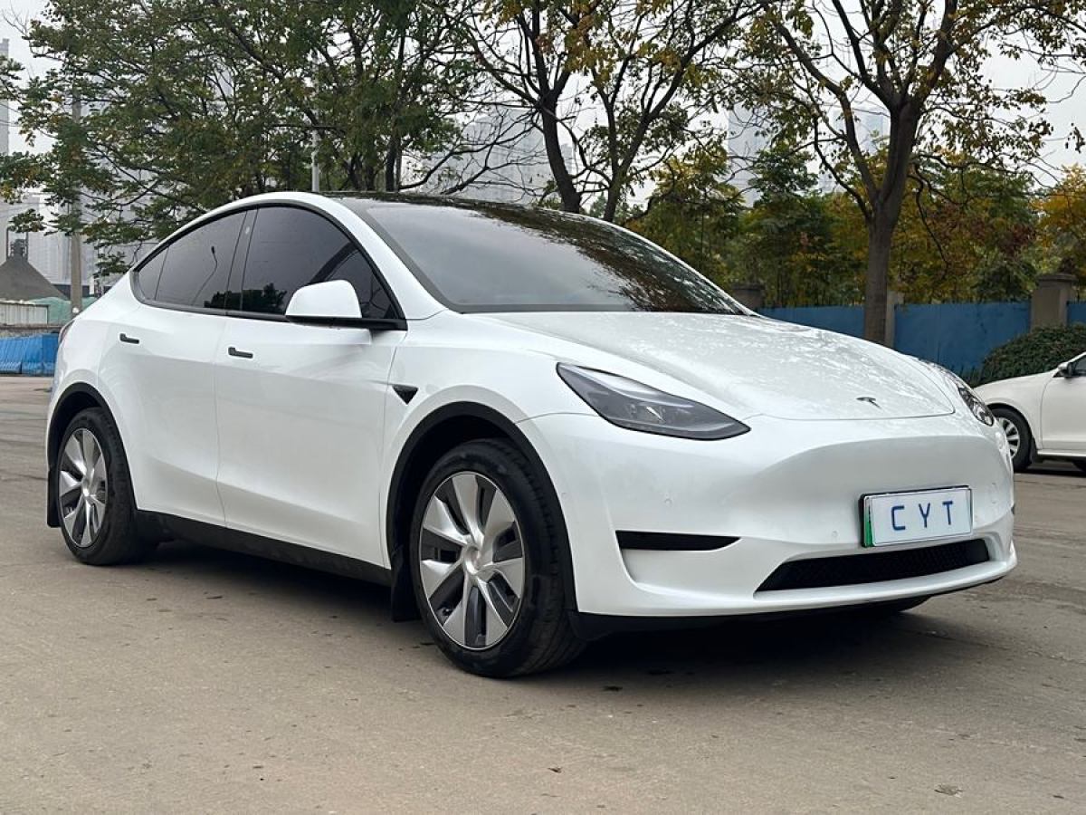 特斯拉 Model 3  2020款 改款 長(zhǎng)續(xù)航后輪驅(qū)動(dòng)版圖片