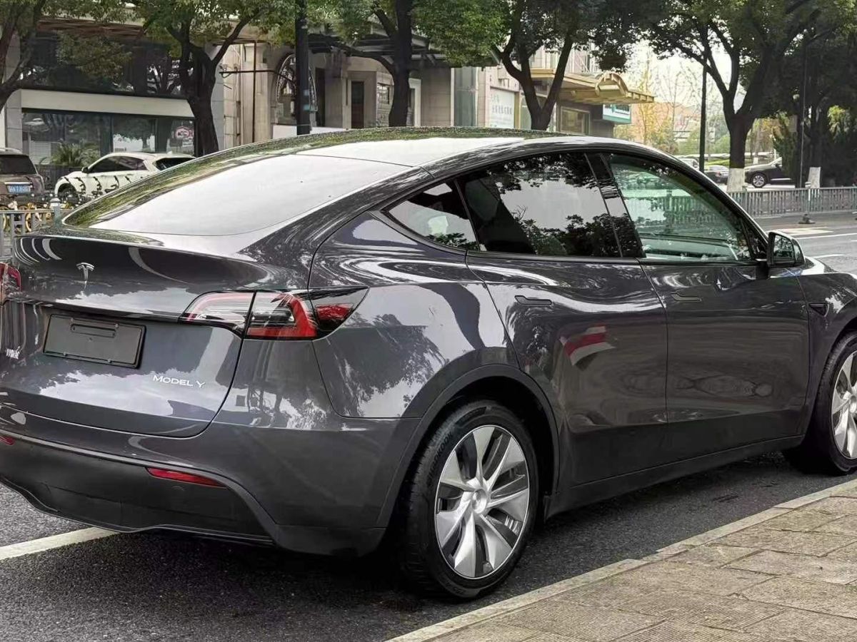 特斯拉 Model S  2023款 三電機(jī)全輪驅(qū)動(dòng) Plaid版圖片