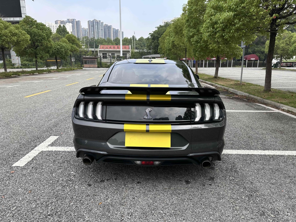 福特 Mustang  2019款 2.3L EcoBoost圖片