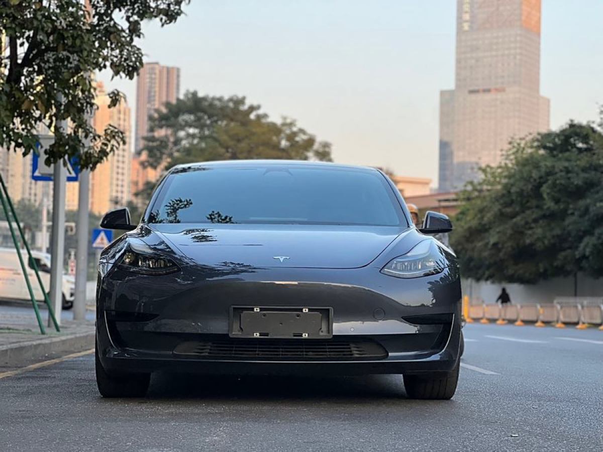 特斯拉 Model 3  2021款 改款 標準續(xù)航后驅(qū)升級版圖片