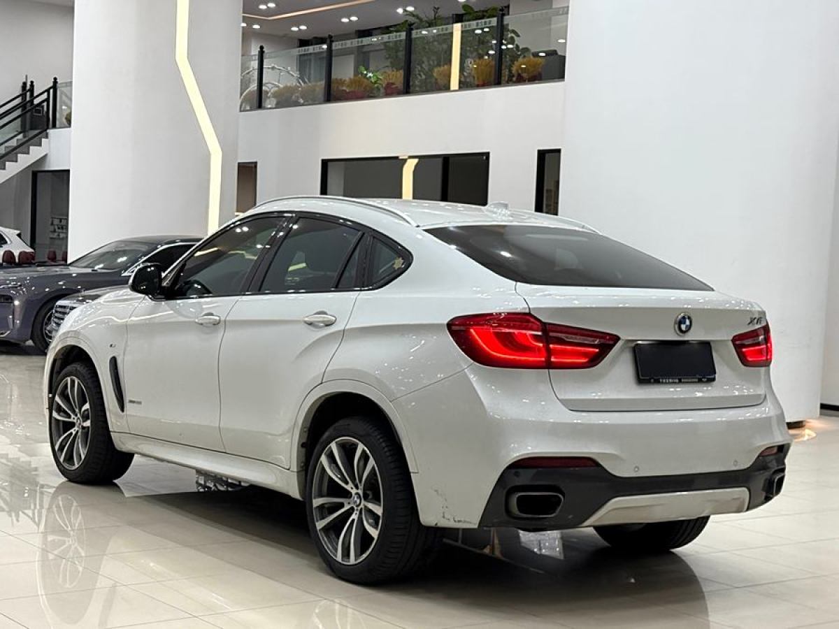 寶馬 寶馬X6  2017款 xDrive35i 領(lǐng)先型圖片