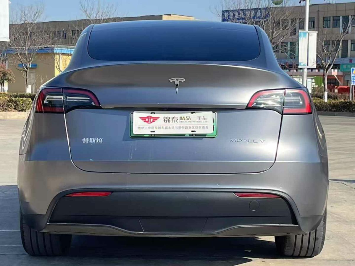 特斯拉 Model Y  2024款 Performance高性能版圖片