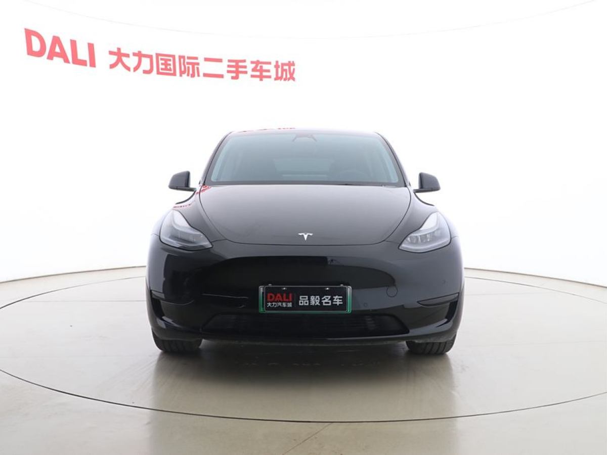 特斯拉 Model Y  2020款 改款 長續(xù)航后輪驅(qū)動版圖片