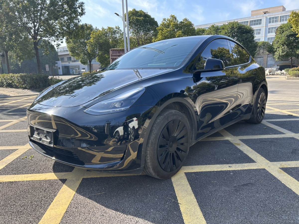 特斯拉 Model Y  2024款 后輪驅(qū)動版圖片