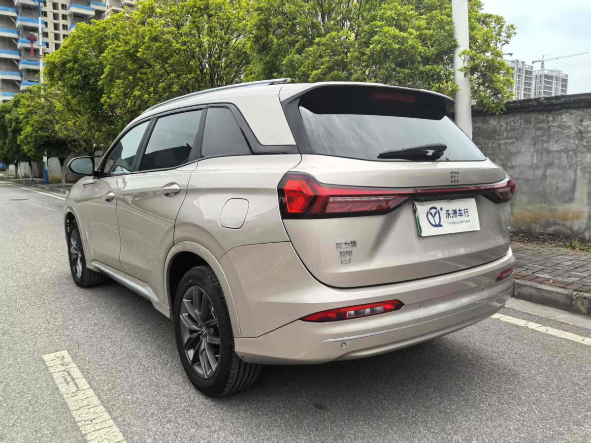 賽力斯 藍(lán)電E5  2023款 1.5L DE-i 100KM暢享型 7座圖片