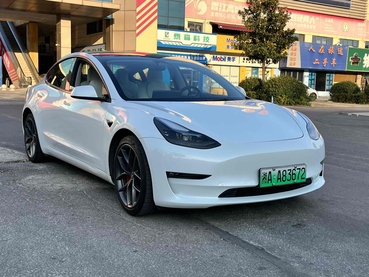 2022年10月特斯拉 Model 3  2019款 Performance高性能全輪驅動版