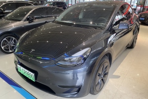 Model Y 特斯拉 后輪驅(qū)動版