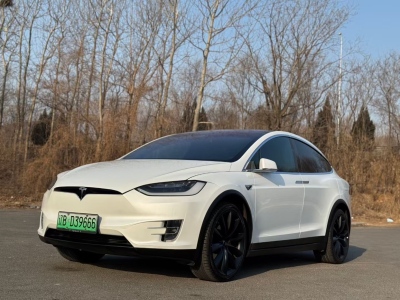 2018年10月 特斯拉 Model X Model X 100D 長(zhǎng)續(xù)航版圖片