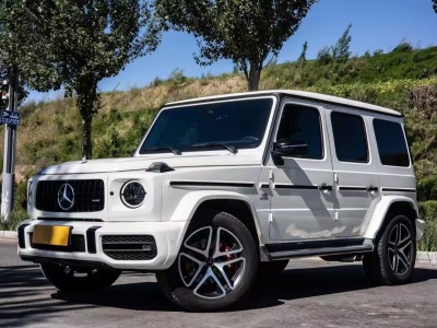 2020年4月 奔馳 奔馳G級(jí)AMG AMG G 55圖片