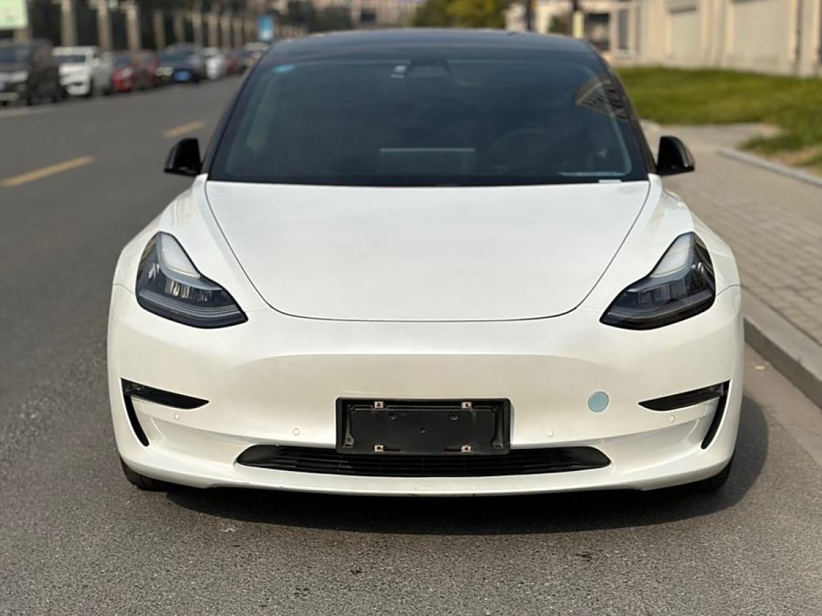 特斯拉 Model 3  2019款 長續(xù)航全輪驅(qū)動版圖片