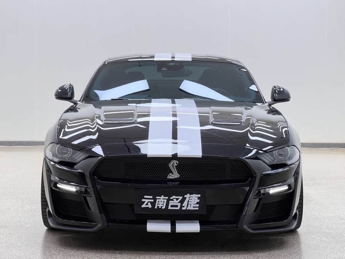 福特 Mustang  2021款 2.3L EcoBoost圖片