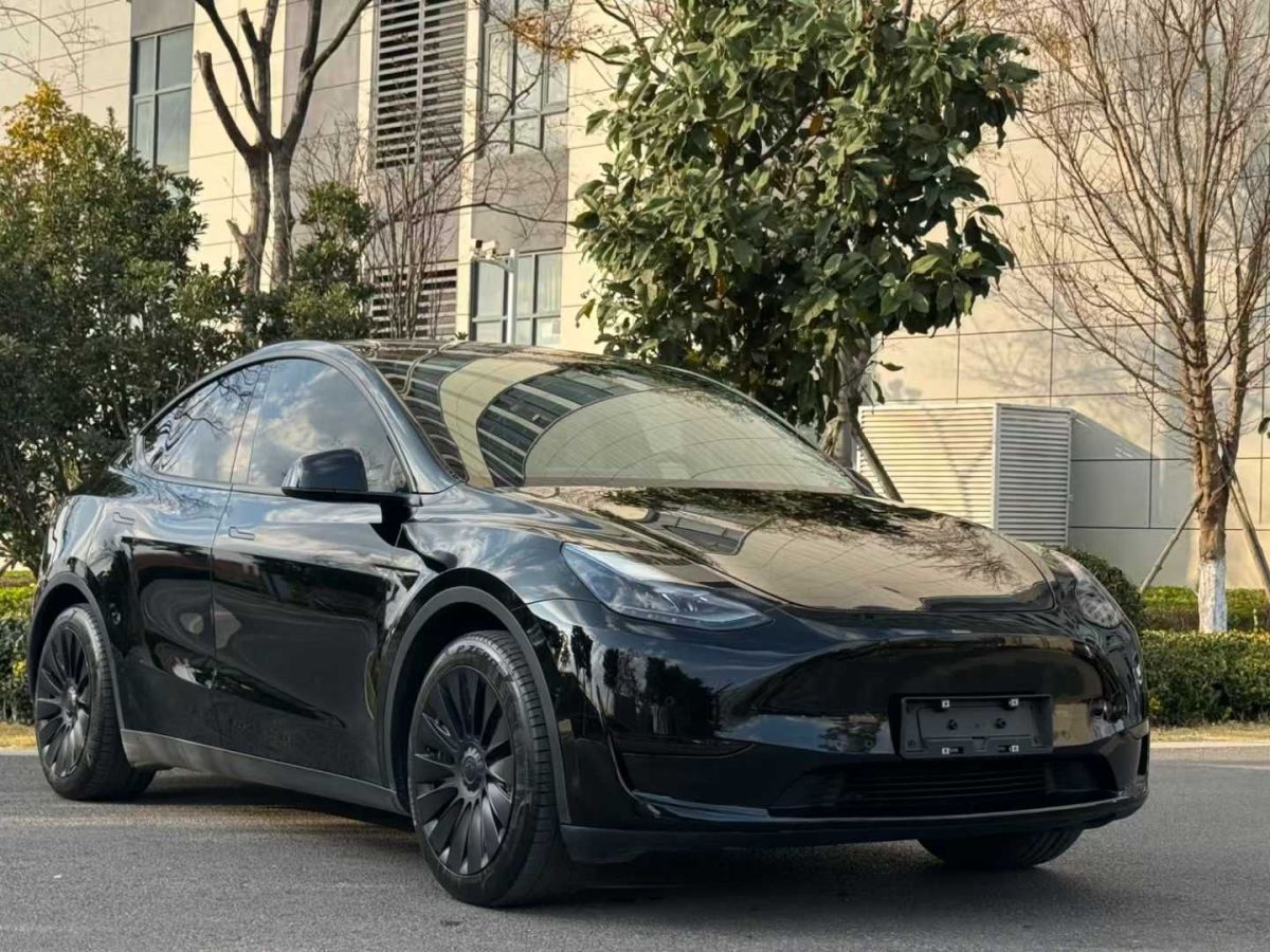 特斯拉 Model S  2023款 三電機(jī)全輪驅(qū)動(dòng) Plaid版圖片