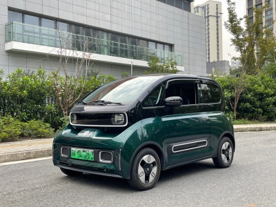 2024年7月 寶駿 寶駿KiWi EV 設(shè)計(jì)師輕享版 三元鋰圖片