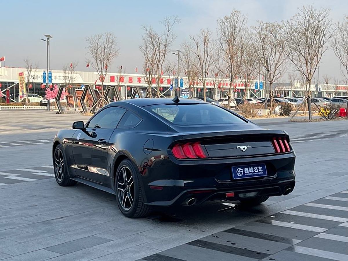 福特 Mustang  2019款 2.3L EcoBoost圖片