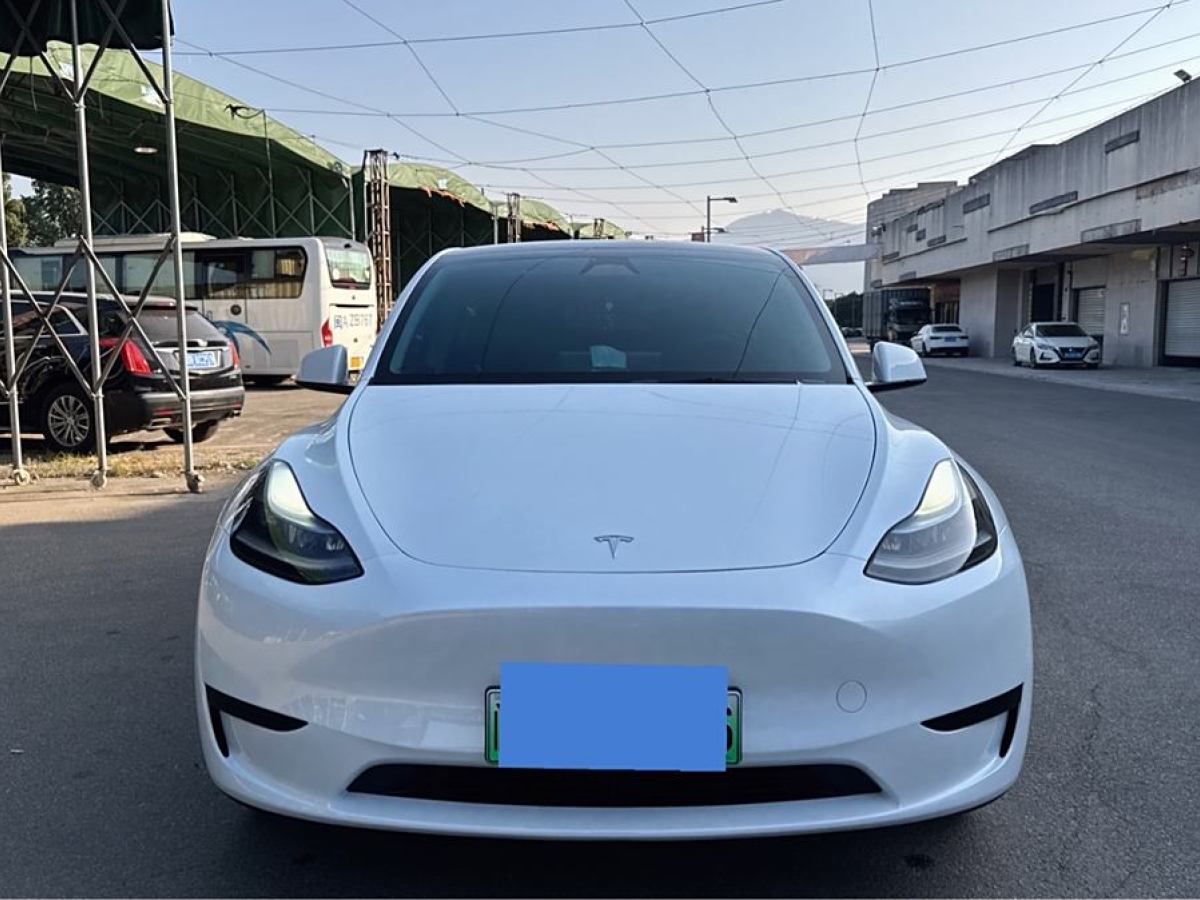 特斯拉 Model 3  2020款 改款 長續(xù)航后輪驅(qū)動(dòng)版圖片