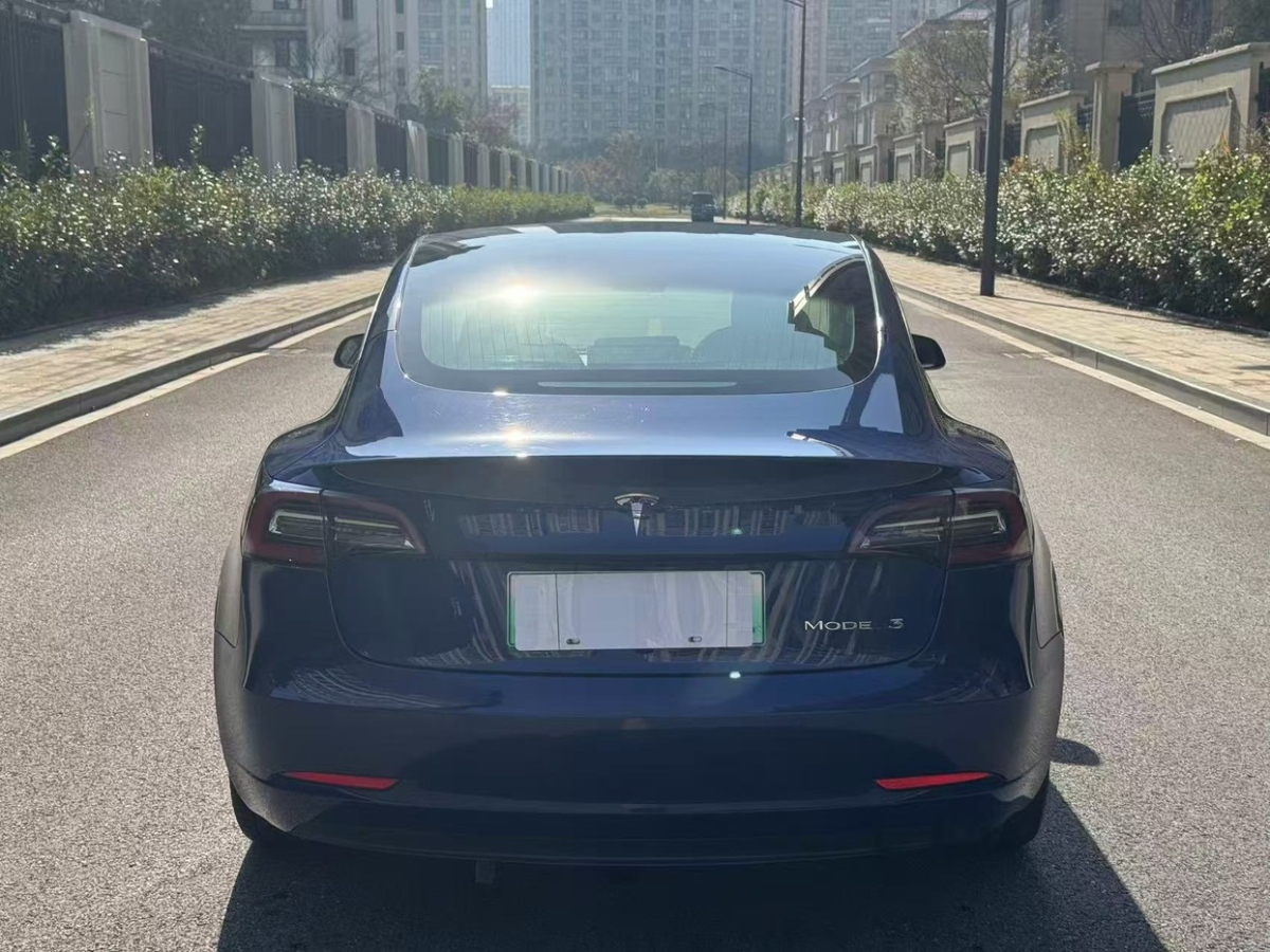 特斯拉 Model 3  2020款 標(biāo)準(zhǔn)續(xù)航后驅(qū)升級(jí)版圖片