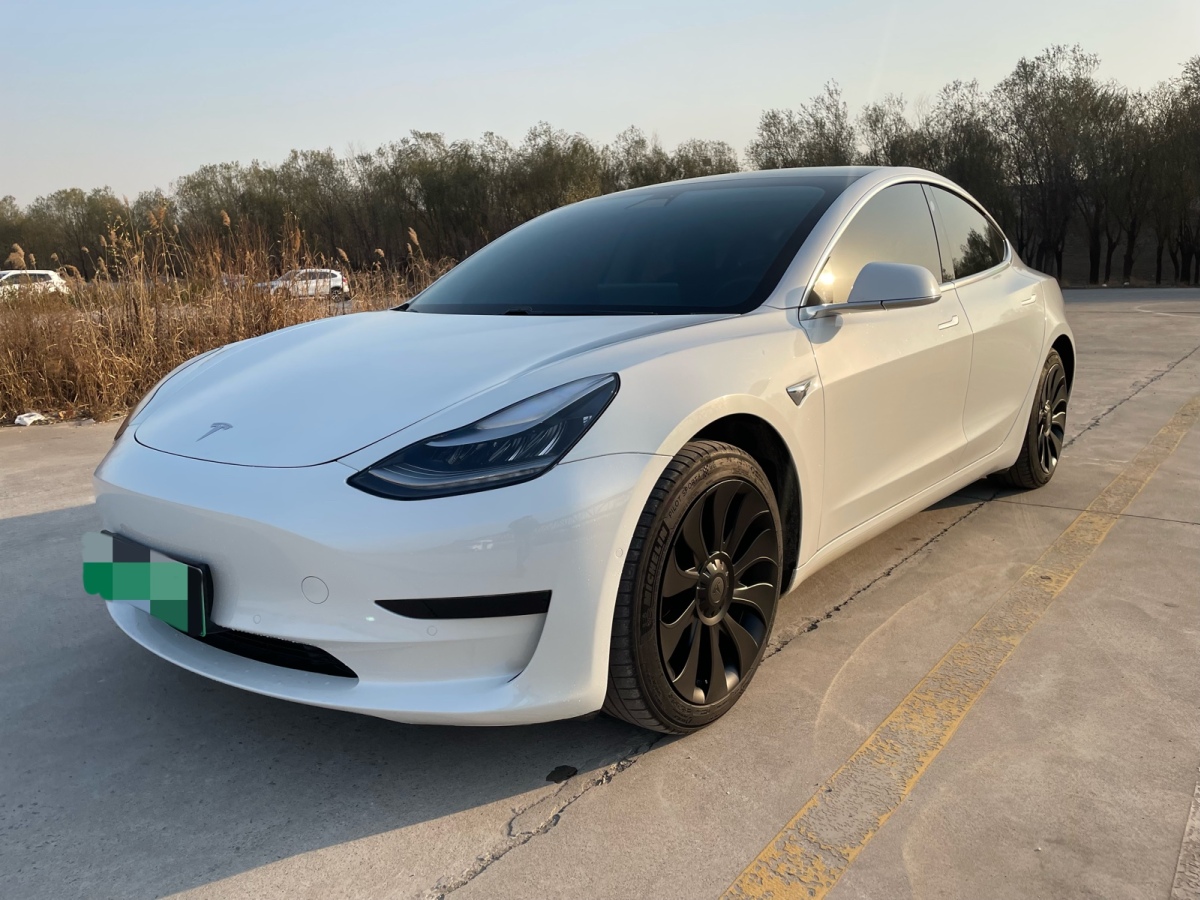 特斯拉 model 3 2019款 標準續航後驅升級版圖片