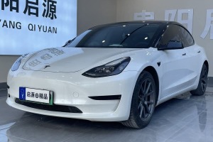 Model 3 特斯拉 改款 標(biāo)準(zhǔn)續(xù)航后驅(qū)升級版