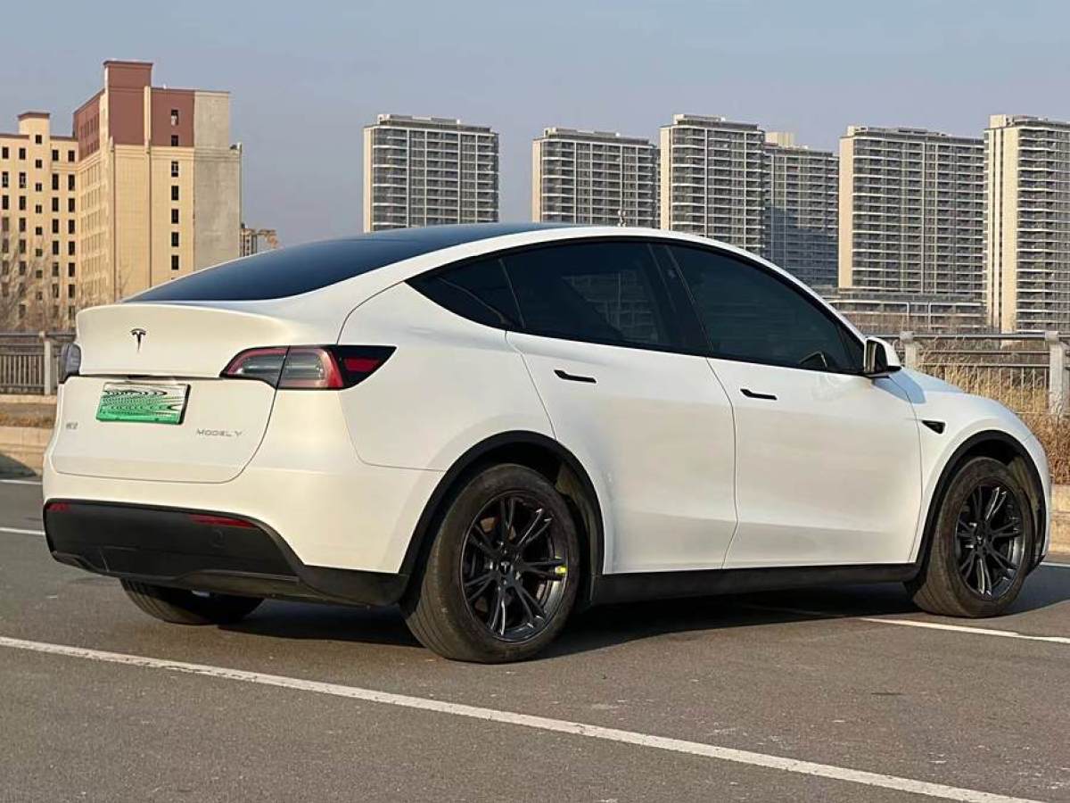 特斯拉 Model 3  2020款 改款 長(zhǎng)續(xù)航后輪驅(qū)動(dòng)版圖片