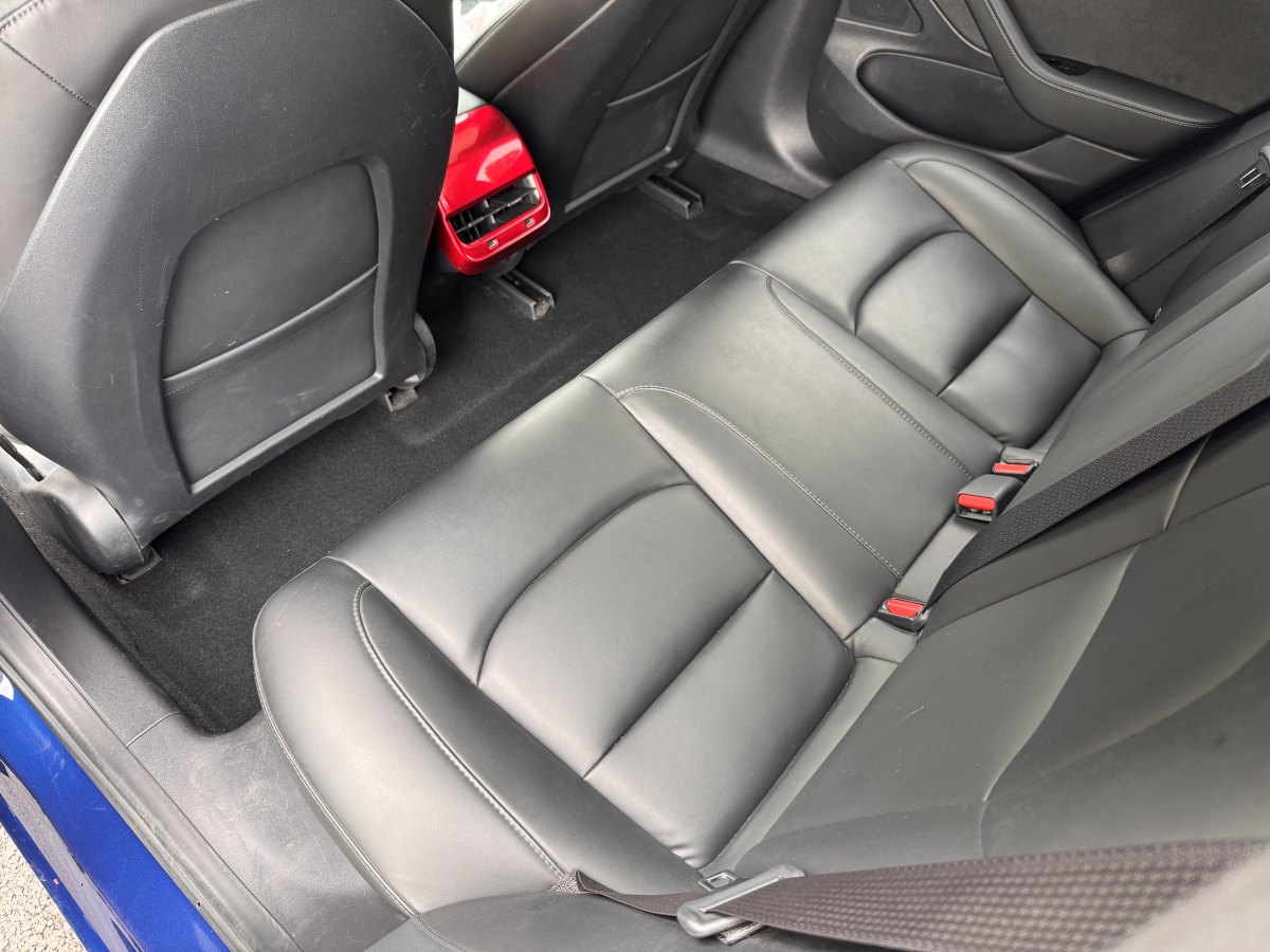 特斯拉 Model 3  2020款 改款 標準續(xù)航后驅(qū)升級版圖片