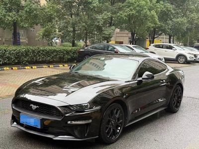 2019年8月 福特 Mustang(進(jìn)口) 2.3L EcoBoost圖片