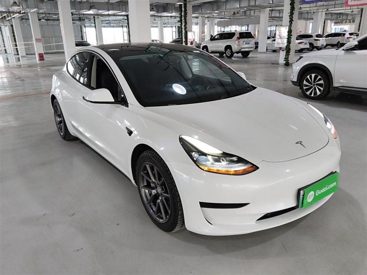 特斯拉 Model 3  2021款 改款 標(biāo)準續(xù)航后驅(qū)升級版圖片