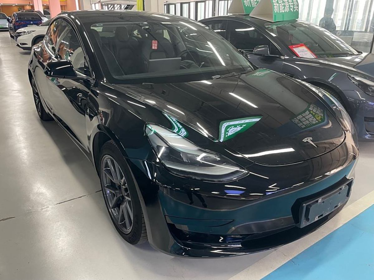 特斯拉 Model 3  2021款 改款 標(biāo)準(zhǔn)續(xù)航后驅(qū)升級(jí)版圖片