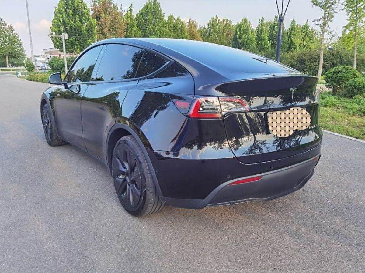 特斯拉 Model 3  2022款 后輪驅(qū)動版圖片