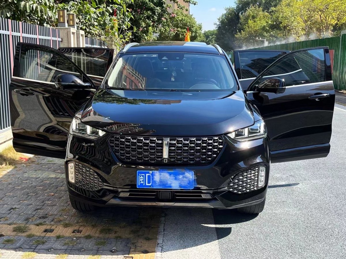 WEY VV6  2020款 2.0T 两驱智护+图片