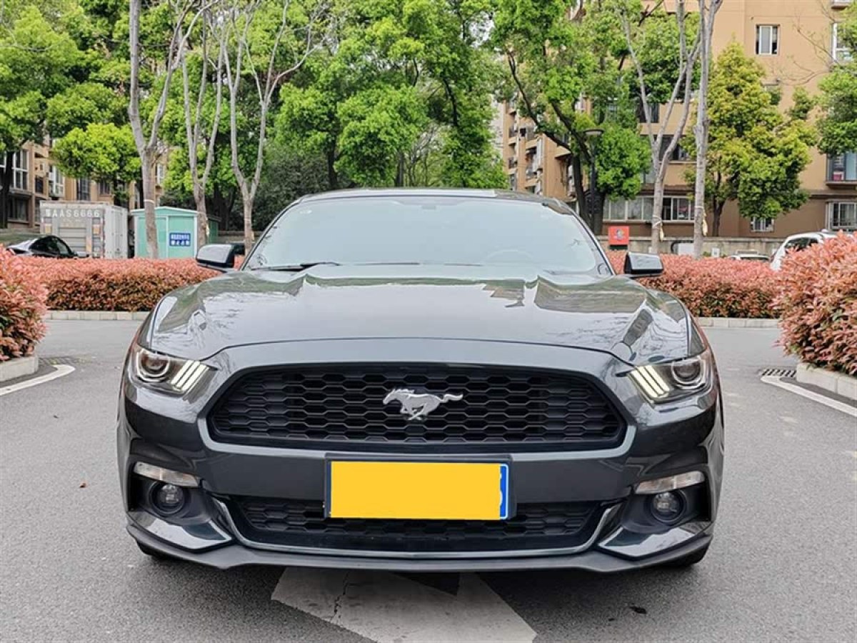 福特 Mustang  2015款 2.3T 性能版圖片