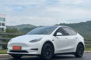 Model Y 特斯拉 改款 长续航后轮驱动版