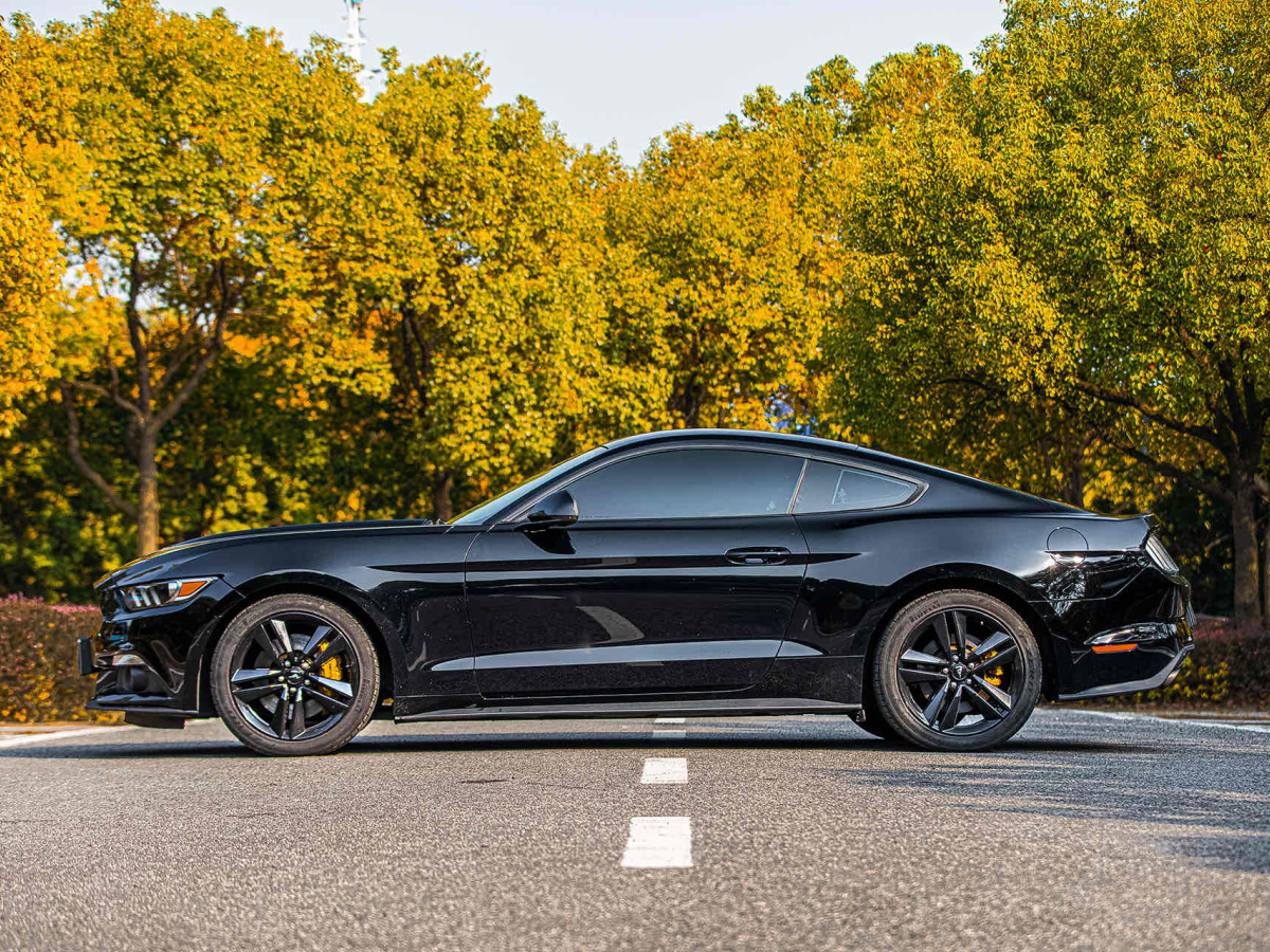 福特 Mustang  2017款 2.3T 運(yùn)動版圖片