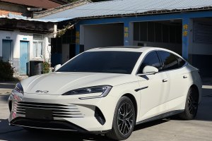 海豹 比亚迪 DM-i 1.5L 121km 豪华型