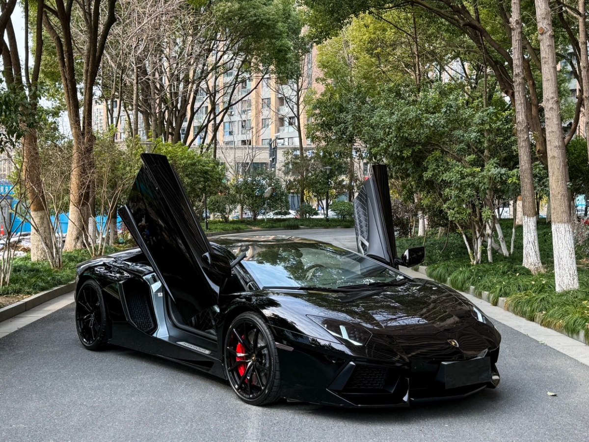 蘭博基尼 Aventador  2013款 LP 700-4 Roadster圖片