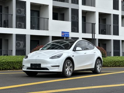 2021年12月 特斯拉 Model Y 改款 標(biāo)準(zhǔn)續(xù)航后驅(qū)升級版圖片