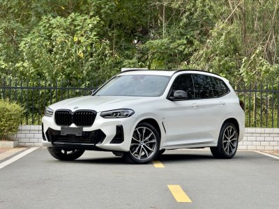 2023年4月 寶馬 寶馬X3 xDrive30i 領(lǐng)先型 M曜夜套裝圖片