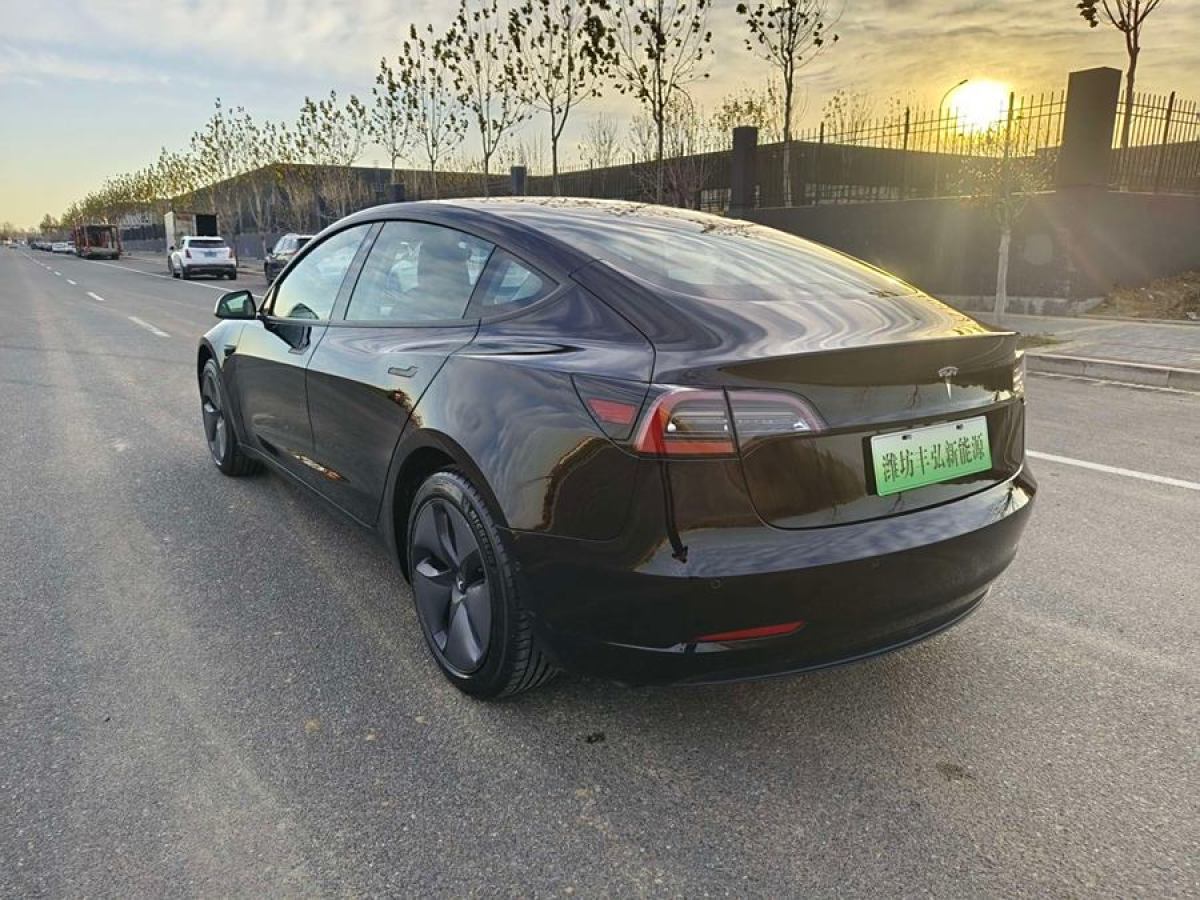 特斯拉 Model 3  2019款 長續(xù)航后驅版圖片