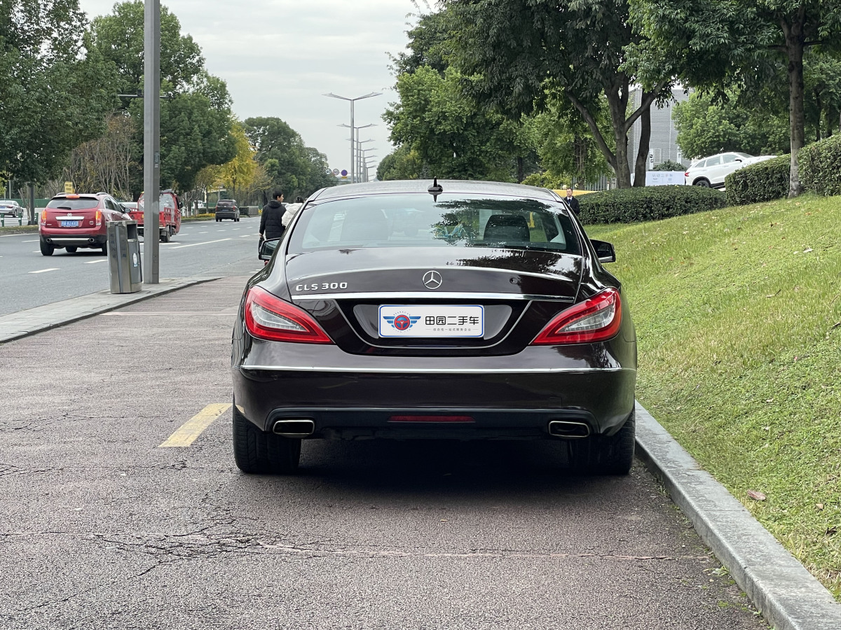 奔馳 奔馳CLS級(jí)  2012款 CLS 300 CGI圖片