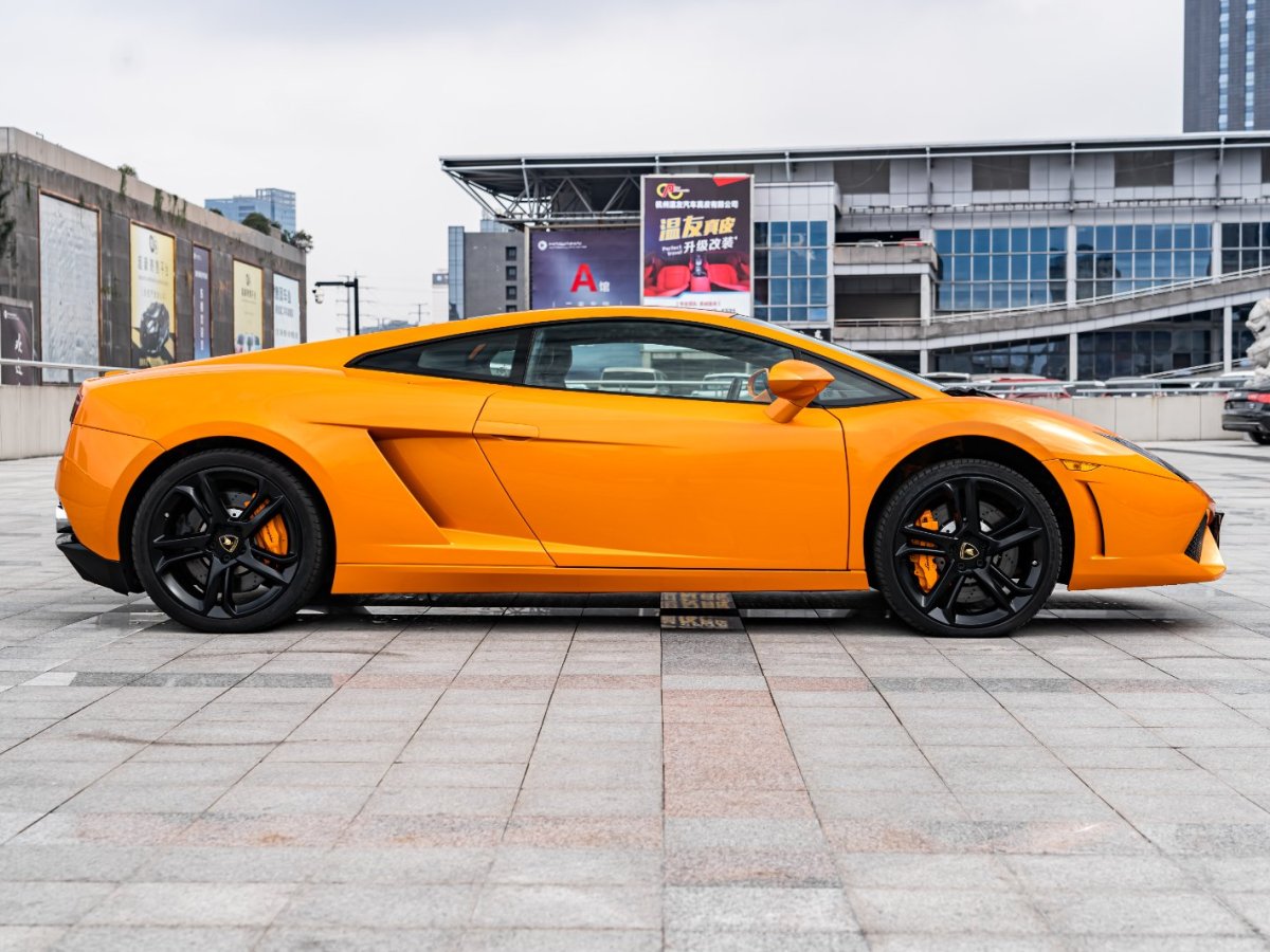 蘭博基尼 Gallardo  2011款 LP 560-4 Bicolore圖片