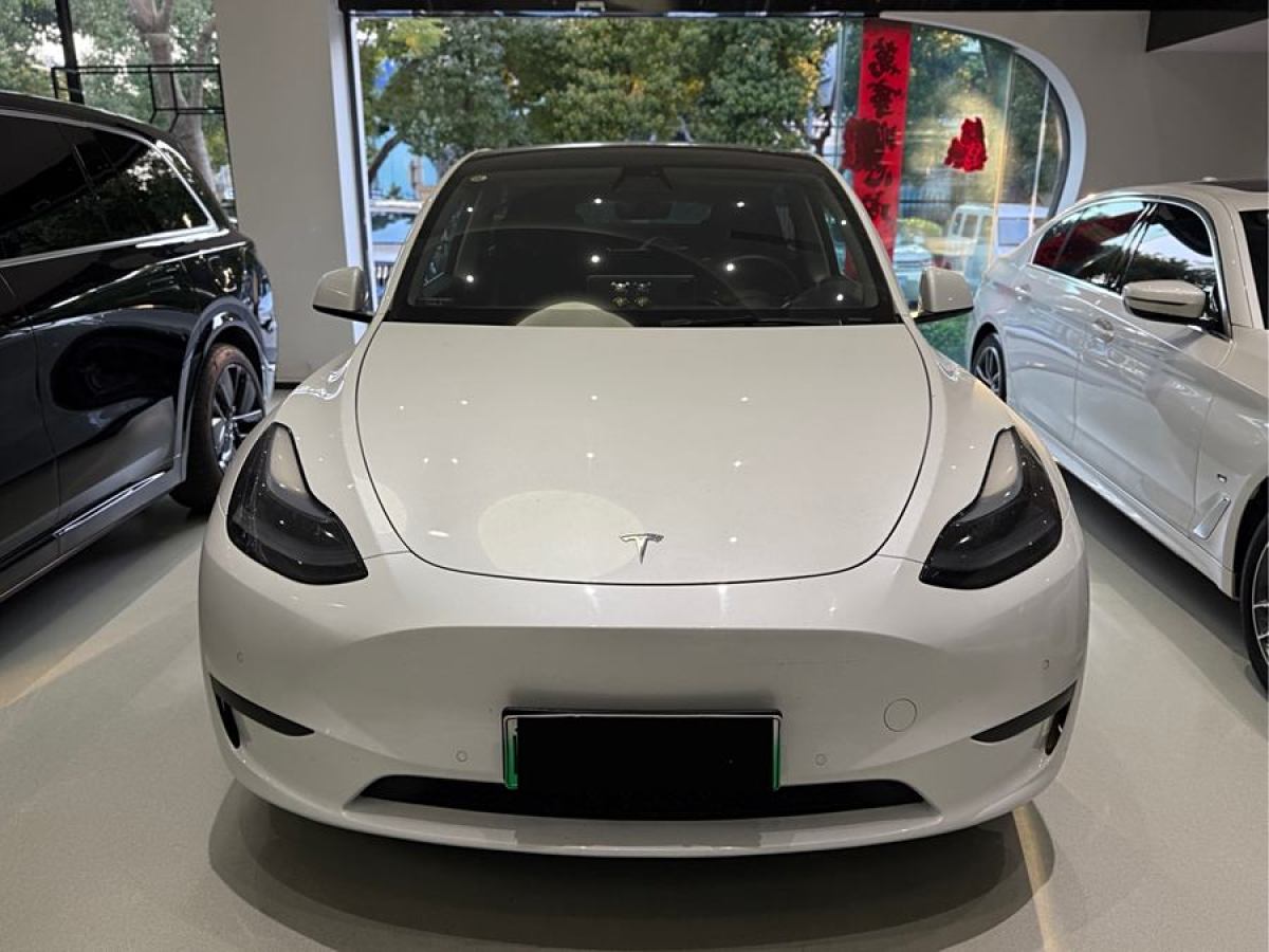 特斯拉 Model 3  2020款 改款 長續(xù)航后輪驅(qū)動版圖片