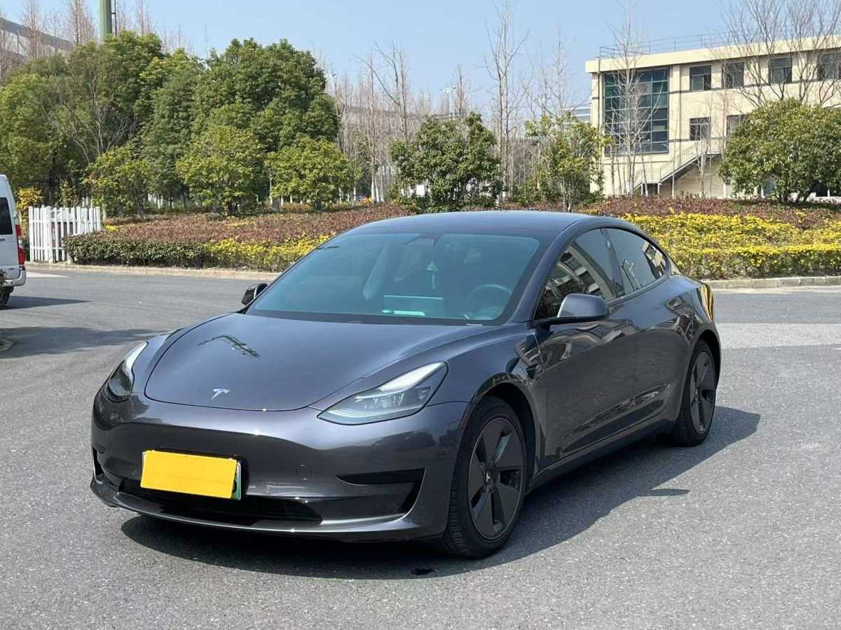 2021年1月特斯拉 Model 3  2020款 改款 標(biāo)準(zhǔn)續(xù)航后驅(qū)升級版