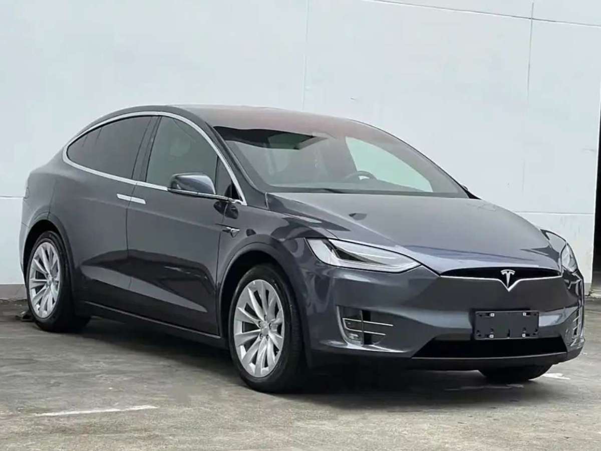 特斯拉 Model X  2016款 Model X 75D圖片