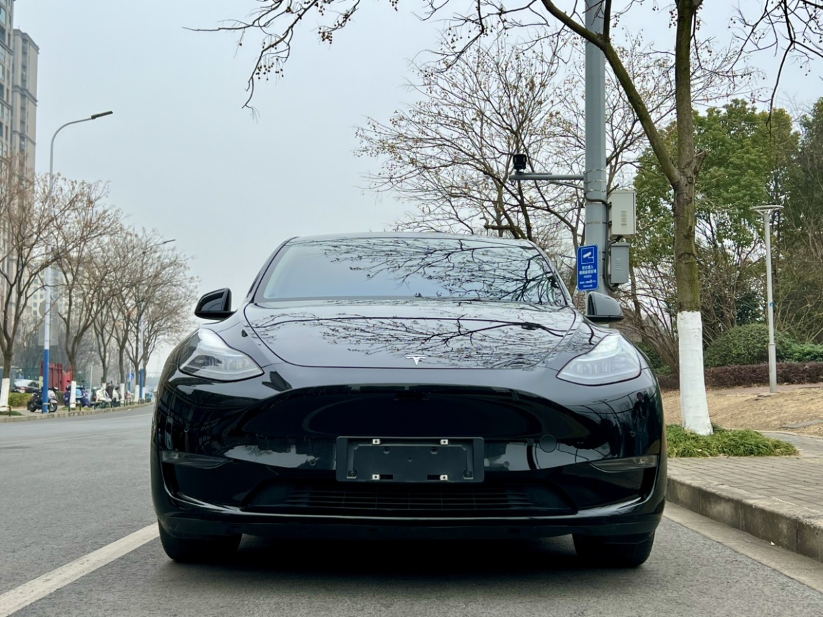 特斯拉 Model Y  2021款 標準續(xù)航后驅(qū)版圖片